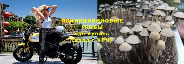 соль курить ск Дмитровск