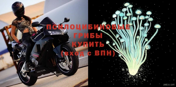 spice Дмитров