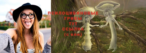 spice Дмитров