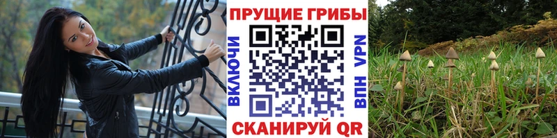 Псилоцибиновые грибы мухоморы  Купить  Калач 
