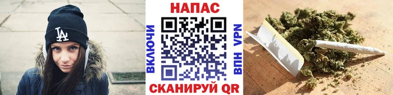 Купить где  Калач  Канабис план 
